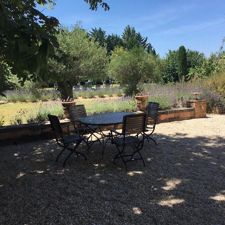Typical Provencal Farm House Close To L'Isle Sur La Sorgue - 12 Persons Cavaillon Exteriér fotografie