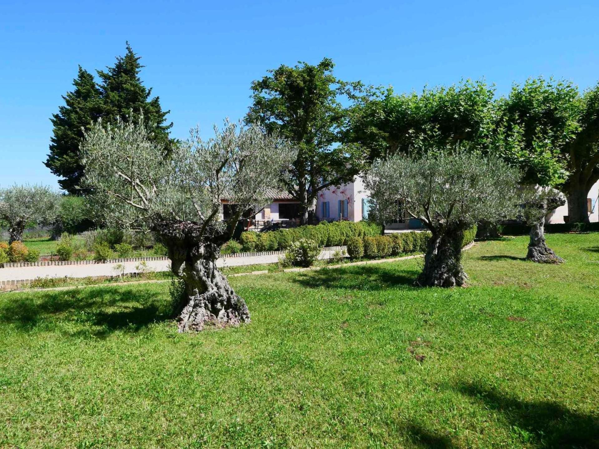Typical Provencal Farm House Close To L'Isle Sur La Sorgue - 12 Persons Cavaillon Exteriér fotografie