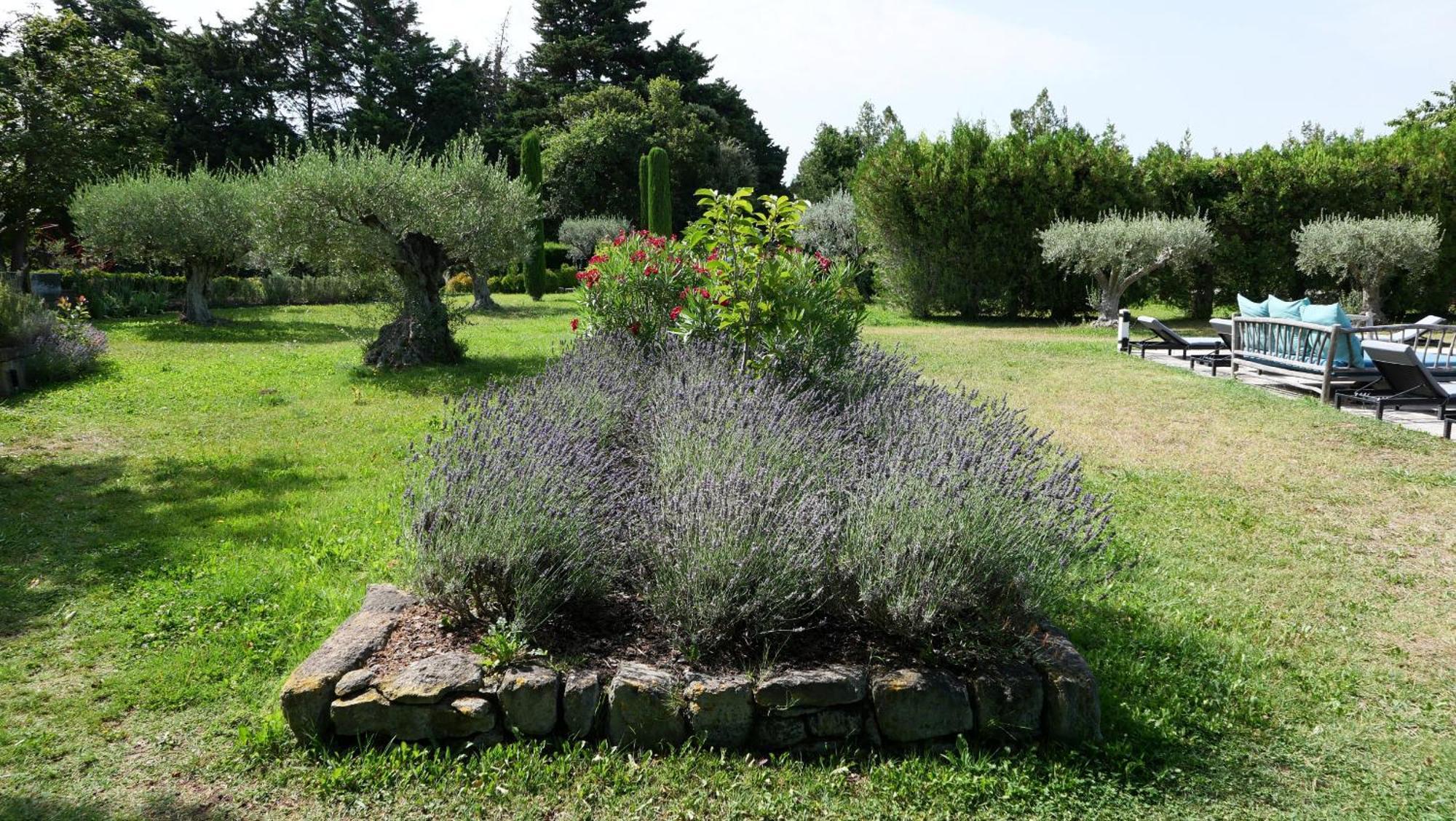 Typical Provencal Farm House Close To L'Isle Sur La Sorgue - 12 Persons Cavaillon Exteriér fotografie