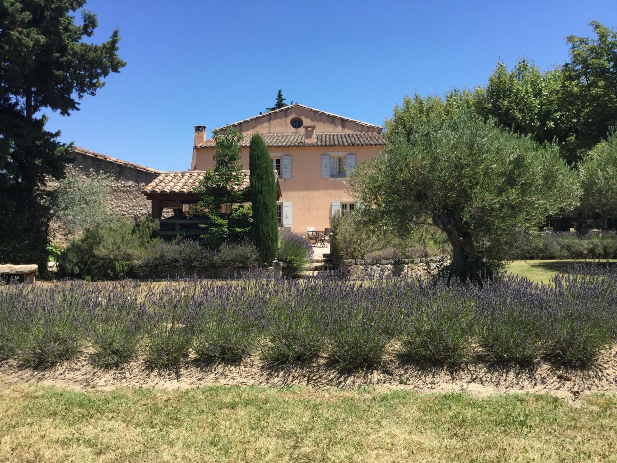 Typical Provencal Farm House Close To L'Isle Sur La Sorgue - 12 Persons Cavaillon Exteriér fotografie