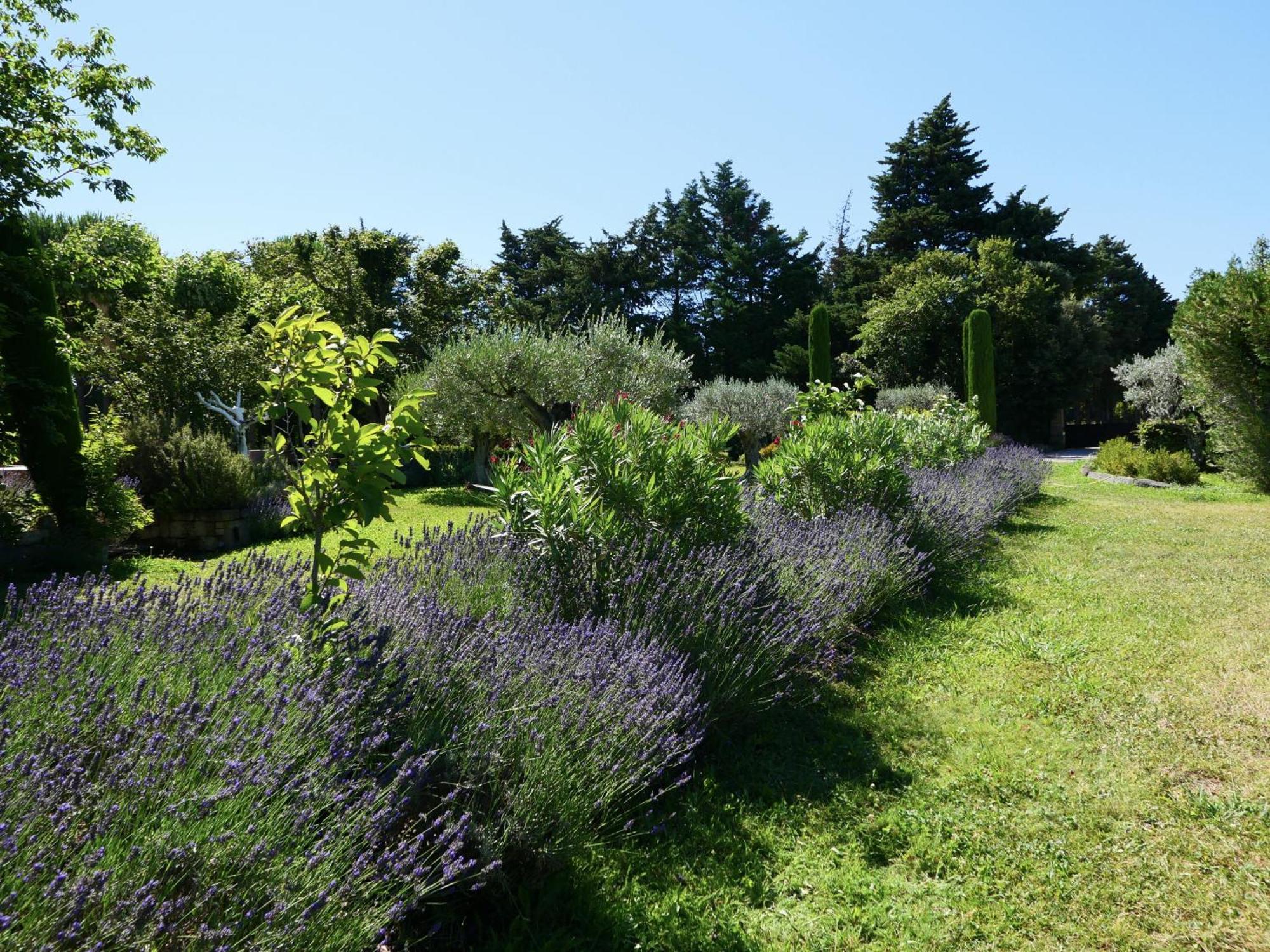 Typical Provencal Farm House Close To L'Isle Sur La Sorgue - 12 Persons Cavaillon Exteriér fotografie
