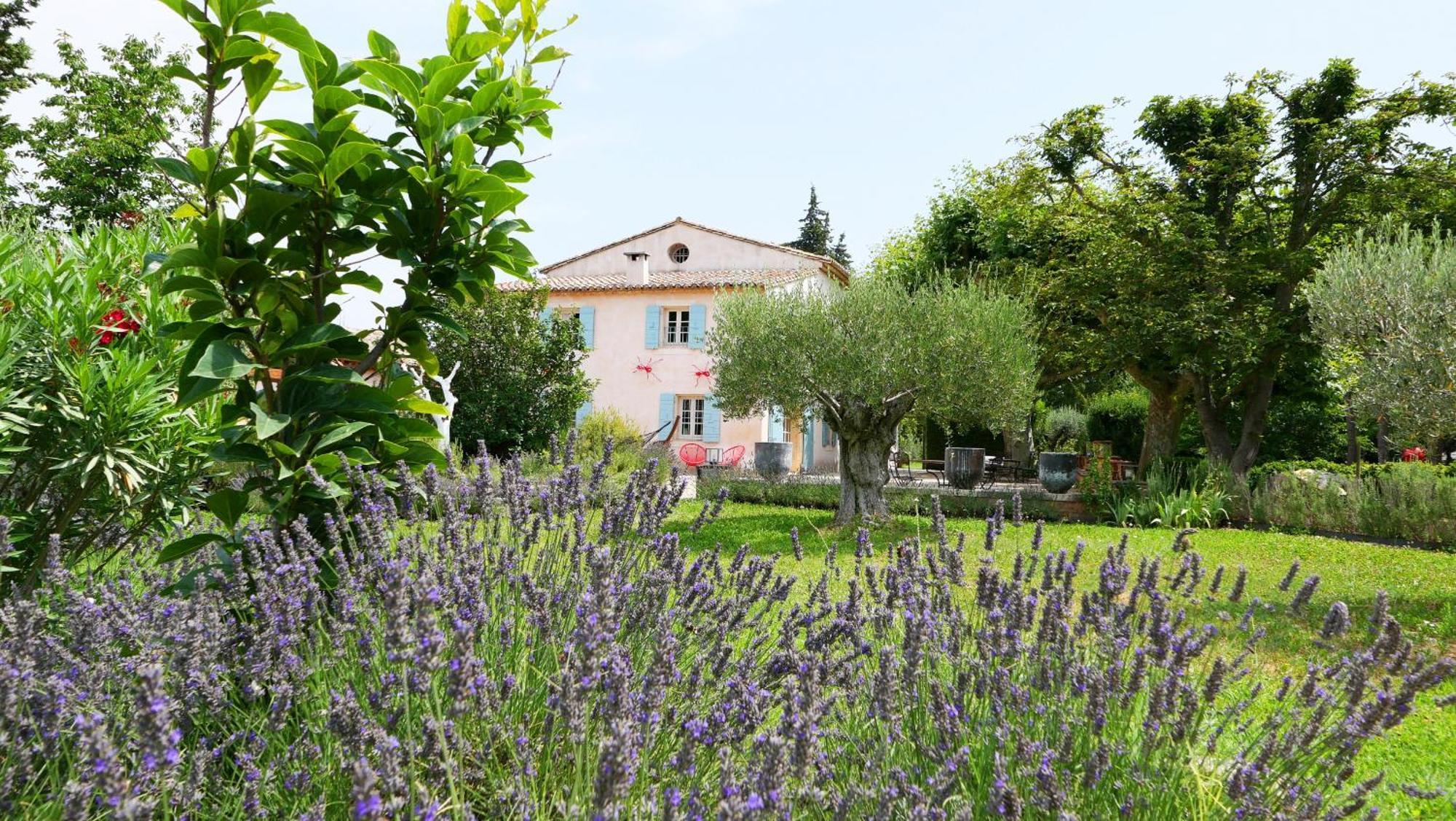 Typical Provencal Farm House Close To L'Isle Sur La Sorgue - 12 Persons Cavaillon Exteriér fotografie